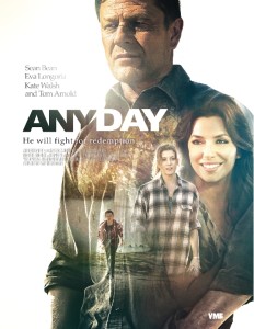 any-day-poster